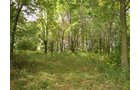 Property photo 1 - 133+/- Acres Offered in 4 Tracts - Farmland, Hunting & Recreation or Future Building Sites